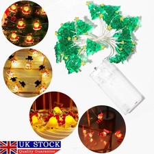 Fairy Light LED String